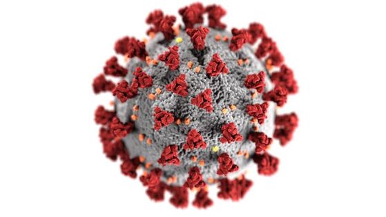 Farbkontrast Coronavirus des Corvid 19 gemeinfrei